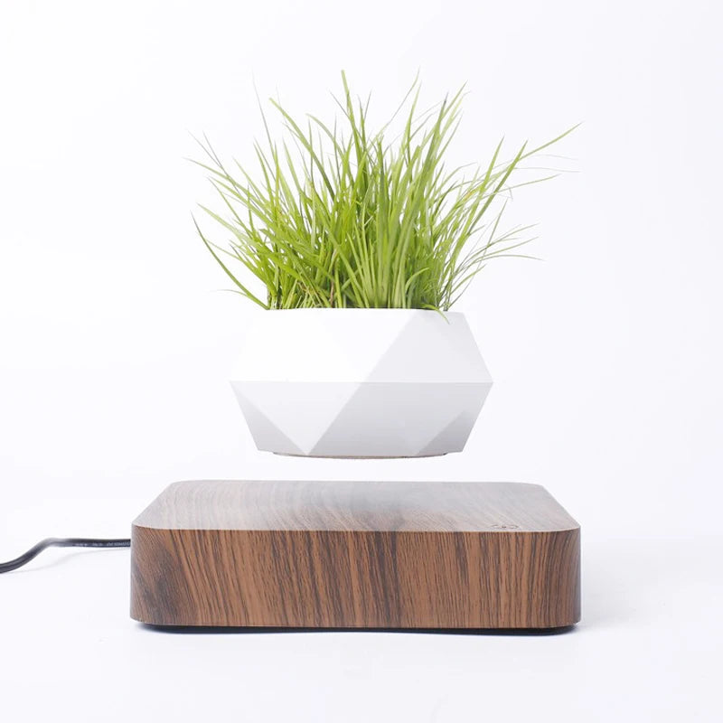 Magnético Levitating Air Bonsai Pot, Vaso De Flor De Rotação, Pote De Flutuação De Suspensão, Casa De Planta Em Vaso, Sem Plantas