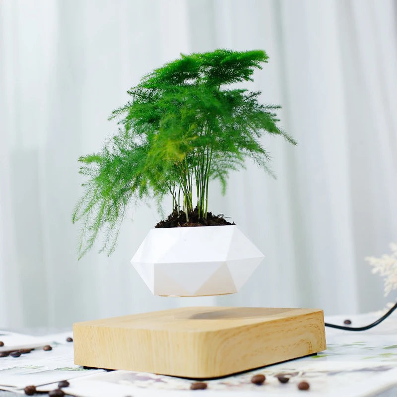 Magnético Levitating Air Bonsai Pot, Vaso De Flor De Rotação, Pote De Flutuação De Suspensão, Casa De Planta Em Vaso, Sem Plantas